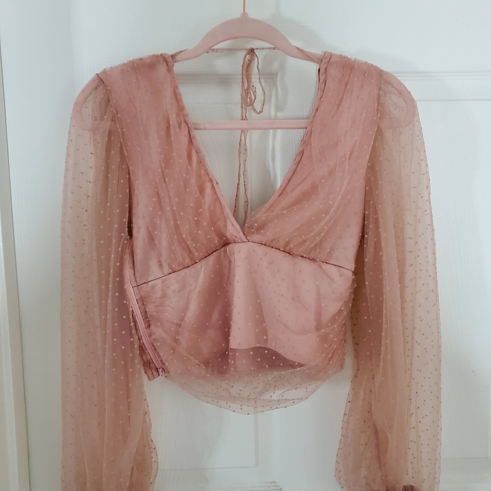 Windsor Pink Crop Top Sheer Long Sleeves